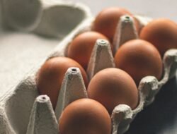 Ramai di Medsos: Benarkah Makan Telur Setiap Hari Menyebabkan Bisulan? Ini Fakta Medisnya