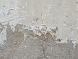 10 Cara Menghilangkan Jamur di Dinding Permanen: Mulai Cuka hingga Perbaikan Sumber Kelembapan