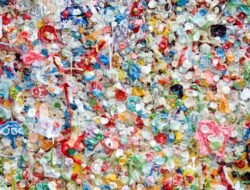 Bahaya Mikroplastik: Riset University of California Ungkap Mempercepat Pembentukan Plak Arteri 624%