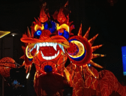 49 Naga Siap Meriahkan Imlek di Pontianak, Targetkan Dampak Ekonomi Positif