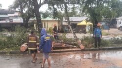 "Hujan deras dan angin kencang sebabkan pohon tumbang di Bundaran Transmart, Kubu Raya. Polisi gerak cepat evakuasi dan imbau warga waspada cuaca ekstrem."