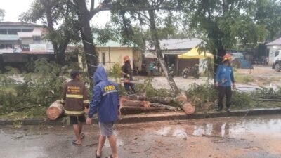 "Hujan deras dan angin kencang sebabkan pohon tumbang di Bundaran Transmart, Kubu Raya. Polisi gerak cepat evakuasi dan imbau warga waspada cuaca ekstrem."