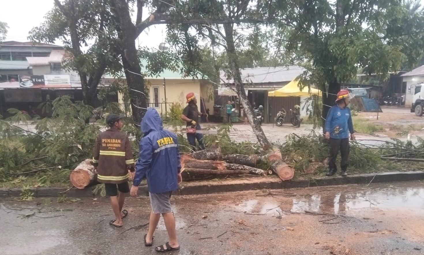 "Hujan deras dan angin kencang sebabkan pohon tumbang di Bundaran Transmart, Kubu Raya. Polisi gerak cepat evakuasi dan imbau warga waspada cuaca ekstrem."