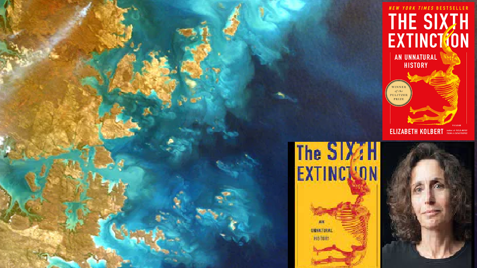 "Hutan bukan sekadar kayu. Pahami dampak nyata hilangnya paru-paru dunia lewat 6 rekomendasi buku tentang deforestasi ini. Mulai dari petualangan di Borneo hingga analisis sains mendalam."