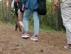 Terbaru! Studi Harvard Ungkap Berapa Jumlah Langkah Kaki Harian Ideal untuk Kesehatan Otak