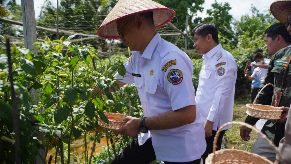 Wali Kota Pontianak Edi Rusdi Kamtono mengenakan caping petani memanen cabai rawit bersama TPID untuk kendalikan inflasi. (Dok. HO/Faktakalbar.id)