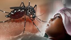 "Singkawang catat kasus DBD tertinggi di Kalbar dengan satu kematian. BPBD peringatkan potensi hujan hingga 5 Desember yang dapat memicu perkembangbiakan nyamuk."