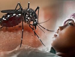 Waspada DBD Singkawang, BPBD Ingatkan Potensi Hujan hingga Awal Desember