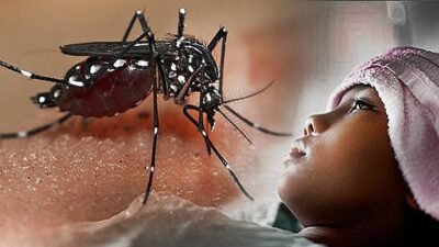 "Singkawang catat kasus DBD tertinggi di Kalbar dengan satu kematian. BPBD peringatkan potensi hujan hingga 5 Desember yang dapat memicu perkembangbiakan nyamuk."