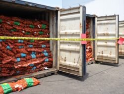 Masuk Lewat Surabaya, 18 Kontainer Bawang Bombai Ilegal Dimusnahkan Kementan
