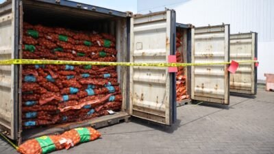 18 kontainer bawang bombai ilegal yang dimusnahkan di Surabaya. (Dok. Kementan)