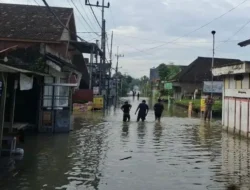 BNPB Laporkan Rentetan Bencana Hidrometeorologi di Jawa hingga Kalimantan, Ribuan Warga Terdampak