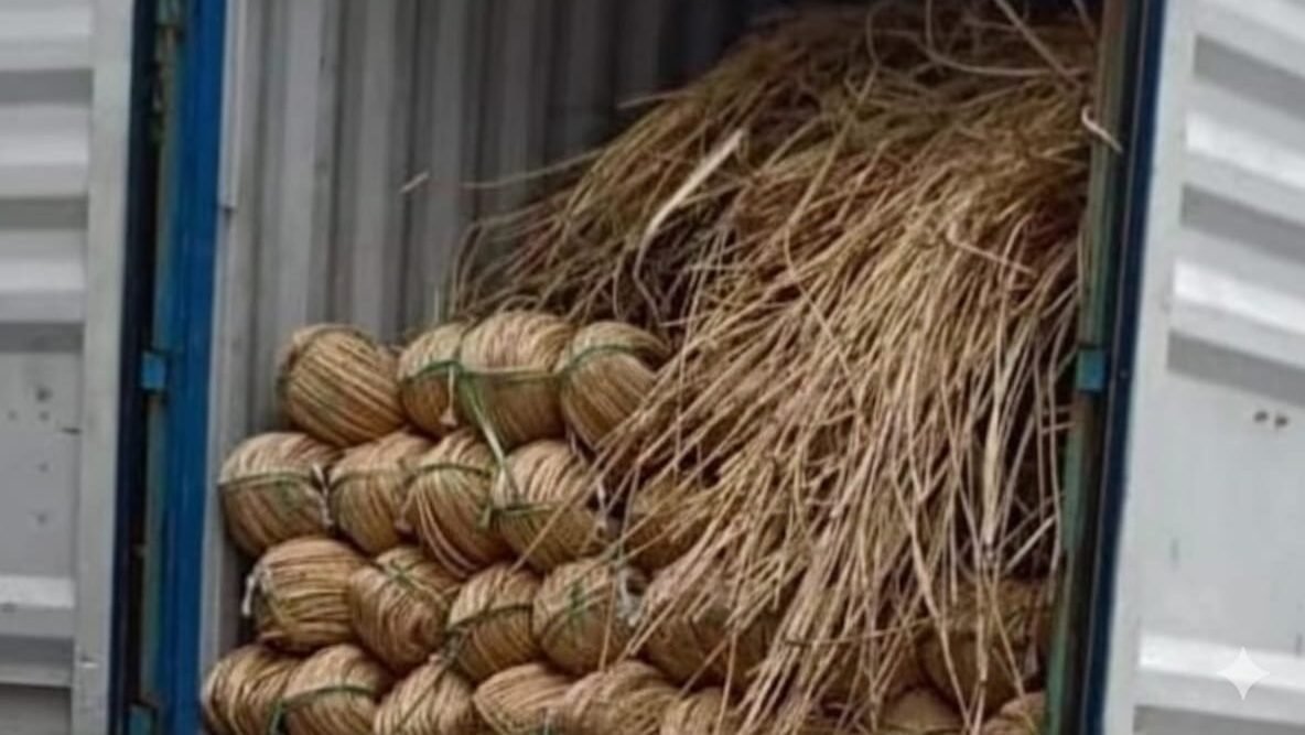 Ilustrasi tumpukan kontainer di Pelabuhan Dwikora Pontianak. Tim gabungan Bea Cukai dan TNI mengamankan 9 kontainer yang diduga berisi rotan ilegal tujuan China, Selasa (23/12/2025).