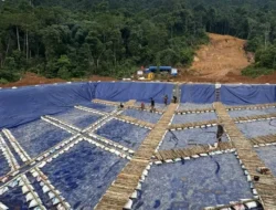 Temuan Kolam Pencucian Emas Ungkap Modus Tambang Emas Ilegal di Tala