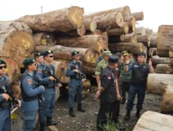 Sulap Kayu Ilegal Jadi Legal, Bos PT BRN Ditetapkan Tersangka oleh Kemenhut