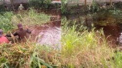 "Proyek-Normalisasi-Parit-Kalbar-Pokir"