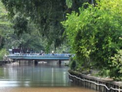 Antisipasi Banjir Rob, Wali Kota Pontianak Instruksikan Percepatan Pembersihan Parit