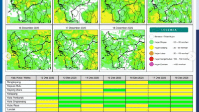 Grafik peta potensi hujan harian BMKG yang menunjukkan sebaran wilayah di Kalimantan Barat yang didominasi hujan intensitas ringan hingga sedang pada Jumat (12/12/2025).