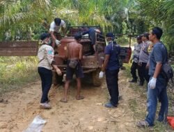 Cium Bau Menyengat, Pasutri di Sanggau Temukan Jenazah di Tengah Kebun Sawit