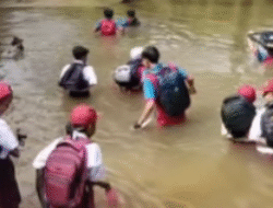 Bertaruh Nyawa, Siswa di Mempawah Terpaksa Seberangi Sungai Akibat Jembatan Rusak
