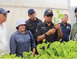 Kadis LHK Kalbar Kagumi Nursery PT Mayawana Persada, Pusat Bibit Terbesar yang Padat Karya Lokal