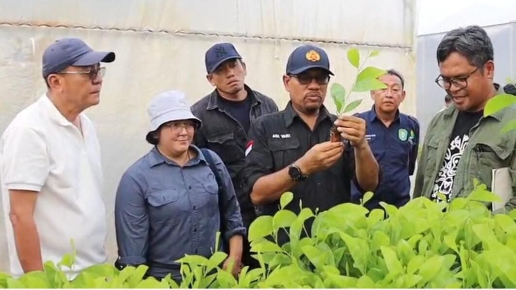 Kepala Dinas Lingkungan Hidup dan Kehutanan (LHK) Provinsi Kalimantan Barat, Adi Yani, menyatakan kekagumannya terhadap fasilitas pembibitan (Nursery) modern milik PT Mayawana Persada yang berlokasi di Simpang Hulu, Ketapang, Jumat (28/11/2025).