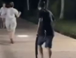 Momen Langka, Wagub Kalbar Krisantus Kurniawan Evakuasi Ular Python Masuk Rumah hingga Ungkap Khasiat Empedu