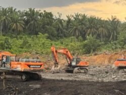 Garap Kawasan Konservasi, 4 Pelaku Tambang Ilegal di Cagar Alam Teluk Adang Ditangkap