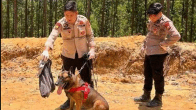 Anjing pelacak K-9 'Reno' dari Polda Riau saat bertugas mencari korban bencana di Kabupaten Agam sebelum gugur dalam tugas. (Dok. Ist)