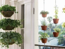 Suasana Pagi Lebih Hidup, Ini 5 Manfaat Punya Tanaman Gantung di Kamar