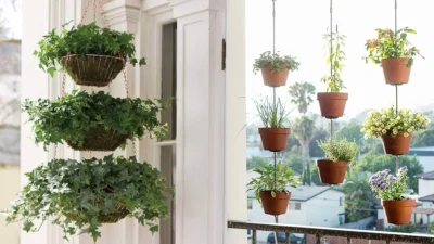 "Simak artikel manfaat tanaman gantung berikut ini. Temukan cara membuat suasana pagi lebih hidup, hemat ruang, dan bikin tidur nyenyak dengan tanaman di kamar."
