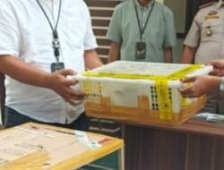 Penyelundupan Satwa di Pontianak: Ratusan Burung Ditemukan Mati dalam Boks