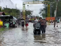 Banjir Rob di Pontianak dan Kubu Raya Lumpuhkan Aktivitas Warga