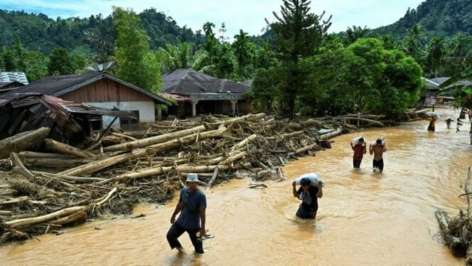 Potret kerusakan masif akibat banjir bandang di Sumatra. Material kayu gelondongan berukuran besar tampak menumpuk di dekat rumah warga, sementara akses jalan masih tergenang air lumpur setinggi paha orang dewasa. (Dok. Ist)