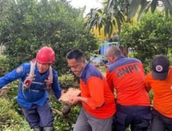 Pascabencana Puting Beliung di Ketapang, BPBD Salurkan Bantuan Sembako dan Bersihkan Lokasi
