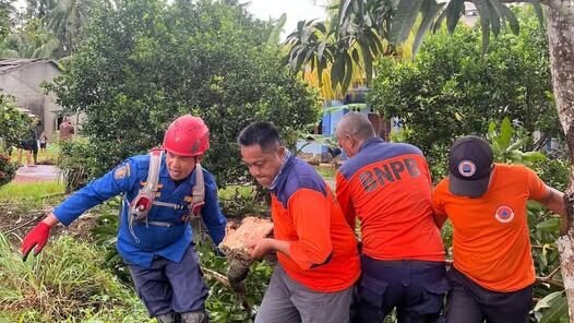 Petugas membersihkan sisa pohon tumbang di sekitar lokasi terdampak bencana angin puting beliung di Kecamatan Kendawangan.