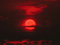 Gerhana Matahari dan Blood Moon Bakal Muncul Sepanjang 2026