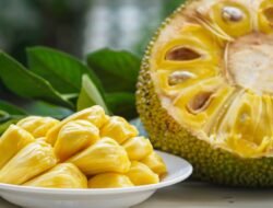 Tak Suka Sayur? Ini 6 Buah Manis yang Ampuh Penuhi Kebutuhan Magnesium Tubuh