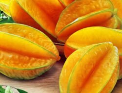 Waspada! 5 Jenis Buah Sehat Ini Justru Berbahaya bagi Penderita Gagal Ginjal