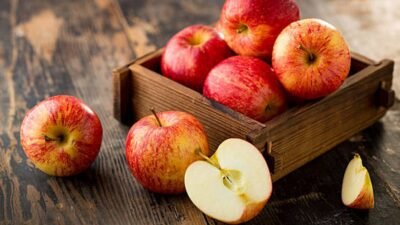 "Penderita sakit ginjal tidak boleh sembarangan makan buah karena risiko kalium tinggi. Simak daftar 7 buah rendah kalium yang aman dan menyehatkan ginjal Anda di sini."