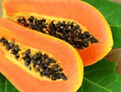 5 Buah Terbaik untuk Pemulihan Hepatitis: Sahabat Baru Hati Anda