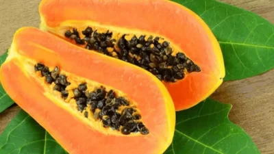 "Bantu perbaiki fungsi hati dengan 5 buah terbaik ini. Kaya antioksidan, mudah dicerna, dan aman untuk pemulihan penderita hepatitis. Baca selengkapnya."