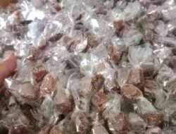 Jangan Biarkan Mual Mengganggu, Ini 5 Cemilan Ampuh Pengusir Mabuk Perjalanan