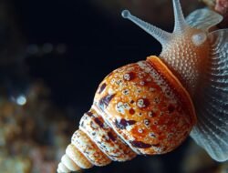 Daftar Hewan dan Tumbuhan yang Punah di 2025