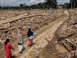 Duka Sumatra: Korban Meninggal Tembus 1.006 Jiwa, Pengungsi Nyaris Satu Juta Orang