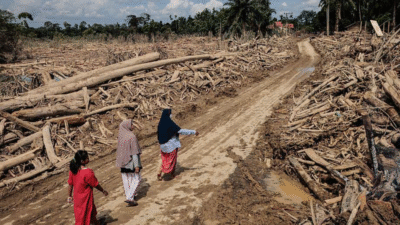 Tiga warga berjalan kaki melewati jalan desa yang rusak parah tertutup lumpur dan tumpukan kayu gelondongan besar sisa banjir bandang. (Dok. HO/Faktakalbar.id)