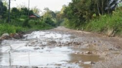 "Kejari Landak panggil pejabat PUPR Kalbar dan kontraktor terkait dugaan korupsi proyek jembatan dan jalan di Amboyo tahun 2021. Simak selengkapnya. "