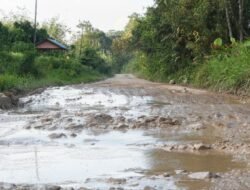 Ada Apa dengan Proyek Infrastruktur PUPR Kalbar di Amboyo Landak Tahun 2021?