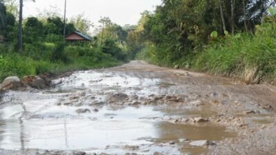 "Kejari Landak panggil pejabat PUPR Kalbar dan kontraktor terkait dugaan korupsi proyek jembatan dan jalan di Amboyo tahun 2021. Simak selengkapnya. "