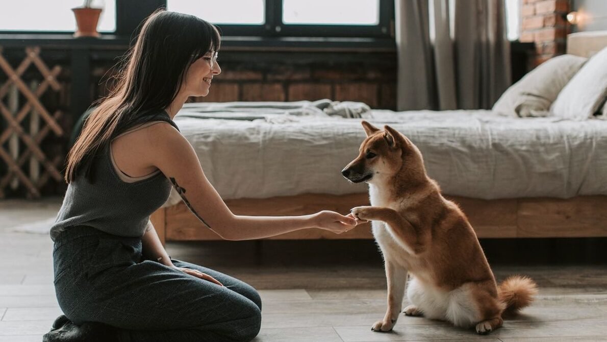 "Punya hewan peliharaan ternyata mencerminkan kepribadian istimewa. Simak 6 fakta unik pencinta binatang, mulai dari tingkat empati tinggi hingga mental yang lebih kuat."